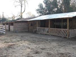  Grundstück zu verkaufen in Maipo, Santiago, Paine