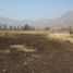  Land for sale in Maipo, Santiago, Paine, Maipo