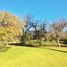  Land for sale in Maipo, Santiago, Buin, Maipo