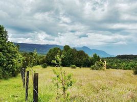  Terreno (Parcela) en venta en Puerto Montt, Llanquihue, Puerto Montt