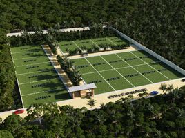  Land for sale in Cozumel, Quintana Roo, Cozumel
