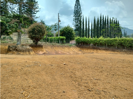  Terrain for sale in Girardota, Antioquia, Girardota