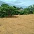  Land for sale in Girardota, Antioquia, Girardota