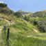  Land for sale in Amaga, Antioquia, Amaga