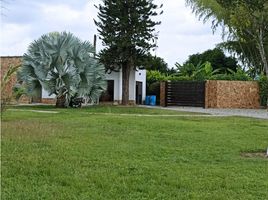 5 Schlafzimmer Haus zu verkaufen in La Tebaida, Quindio, La Tebaida