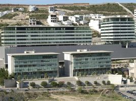 550 m² Office for rent in Monterrey, Nuevo Leon, Monterrey