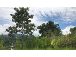  Terreno (Parcela) en venta en San Martín, Tarapoto, San Martín, San Martín