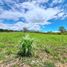  Terreno (Parcela) en venta en Boquete, Chiriquí, Alto Boquete, Boquete