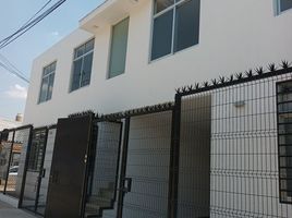 1 Bedroom Condo for rent in Zapopan, Jalisco, Zapopan