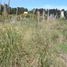  Land for sale in Villa Gesell, Buenos Aires, Villa Gesell