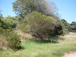  Terreno (Parcela) en venta en Villa Gesell, Buenos Aires, Villa Gesell