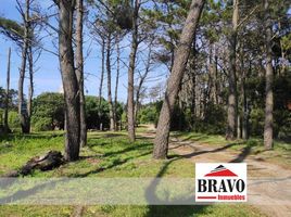  Land for sale in Villa Gesell, Buenos Aires, Villa Gesell