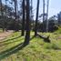  Terrain for sale in Villa Gesell, Buenos Aires, Villa Gesell