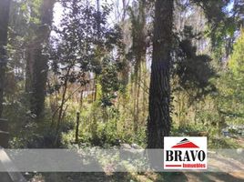  Land for sale in Villa Gesell, Buenos Aires, Villa Gesell