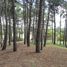  Terrain for sale in Villa Gesell, Buenos Aires, Villa Gesell