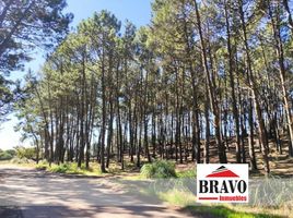  Land for sale in Villa Gesell, Buenos Aires, Villa Gesell