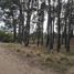  Terrain for sale in Villa Gesell, Buenos Aires, Villa Gesell