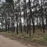  Land for sale in Villa Gesell, Buenos Aires, Villa Gesell