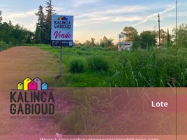  Land for sale in Colon, Entre Rios, Colon