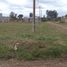  Land for sale in Colon, Entre Rios, Colon