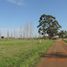  Land for sale in Colon, Entre Rios, Colon