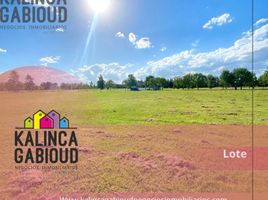  Land for sale in Colon, Entre Rios, Colon