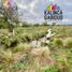  Land for sale in Uruguay Entre Rios, Uruguay