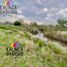  Land for sale in Uruguay Entre Rios, Uruguay