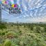  Land for sale in Uruguay Entre Rios, Uruguay