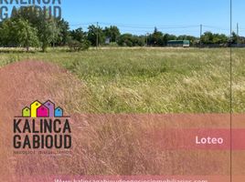  Land for sale in Colon, Entre Rios, Colon