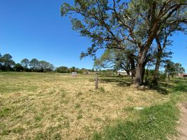  Terrain for sale in San Fernando, Chaco, San Fernando