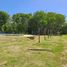  Land for sale in San Vicente, Buenos Aires, San Vicente