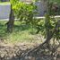  Grundstück zu verkaufen in Conkal, Yucatan, Conkal