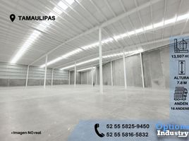 Estudio Casa en alquiler en Tampico, Tamaulipas, Tampico, Tamaulipas