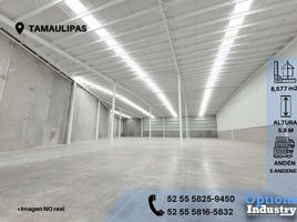Studio House for rent in Tampico, Tamaulipas, Tampico