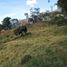  Terreno (Parcela) en venta en Envigado, Antioquia, Envigado