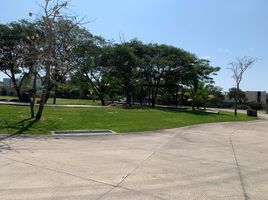  Terreno (Parcela) en venta en Conkal, Yucatán, Conkal