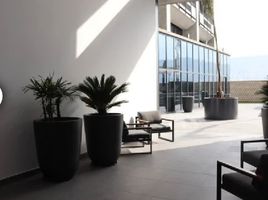 2 Bedroom Apartment for rent in Monterrey, Nuevo Leon, Monterrey, Nuevo Leon
