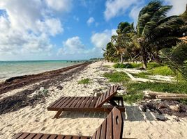  Grundstück zu verkaufen in Othon P Blanco, Quintana Roo, Othon P Blanco