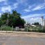  Land for rent in Culiacan, Sinaloa, Culiacan