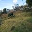  Terreno (Parcela) en venta en Envigado, Antioquia, Envigado