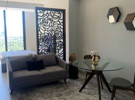 1 Schlafzimmer Wohnung zu vermieten in Nuevo Leon, Monterrey, Nuevo Leon