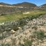  Land for sale in Garcia, Nuevo Leon, Garcia
