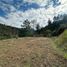 Terrain à vendre à Rionegro, Antioquia, Rionegro, Antioquia