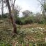  Terreno (Parcela) en venta en San Andres Tuxtla, Veracruz, San Andres Tuxtla