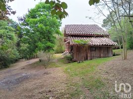  Land for sale in Xico, Veracruz, Xico