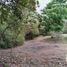  Land for sale in Xico, Veracruz, Xico