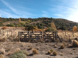  Land for sale in Huiliches, Neuquen, Huiliches