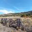  Land for sale in Huiliches, Neuquen, Huiliches