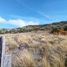  Land for sale in Huiliches, Neuquen, Huiliches